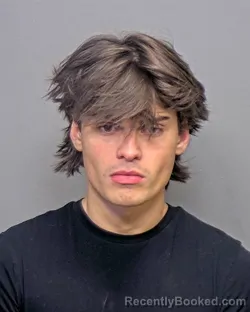 Mugshot of Alem Basic