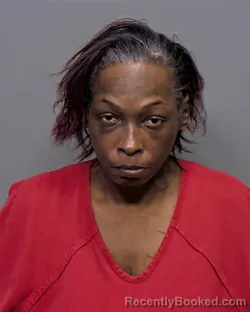 Mugshot of Elizabeth Burns