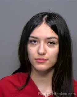 Mugshot of Priscilla Christine Hernandez booked in Porter County, Indiana on March 9, 2026