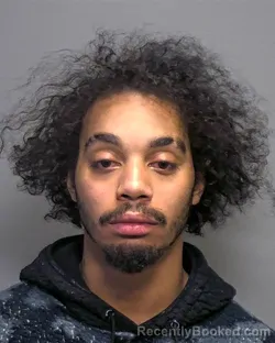 Mugshot of Kenya Talofa Lafitaga