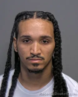 Mugshot of Gabriel James Jones booked in Porter County, Indiana on March 25, 2026