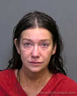 Mugshot of Sarah Jane Wetzel booked in Porter County, Indiana on March 28, 2026