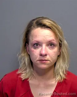 Mugshot of Amy Bawcum booked in Porter County, Indiana on March 29, 2026