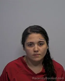 Mugshot of Brianna Marie Luttinen booked in Porter County, Indiana on May 26, 2026
