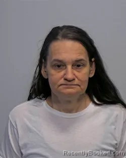 Mugshot of Denise Marie Reinschreiber booked in Porter County, Indiana on July 11, 2026