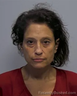 Mugshot of Delores Deborah Dehler booked in Porter County, Indiana on August 28, 2026