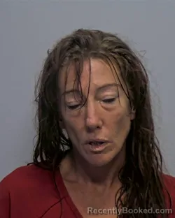 Mugshot of Krysteen Lynn Gibbs booked in Porter County, Indiana on September 9, 2026