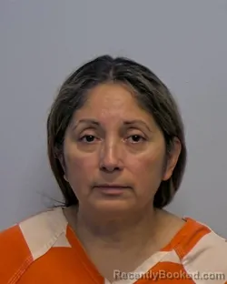 Mugshot of Virginia Castellon-Navarro booked in Porter County, Indiana on October 24, 2026