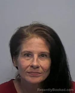 Mugshot of Breanne Megan Thompson booked in Porter County, Indiana on July 8, 2026