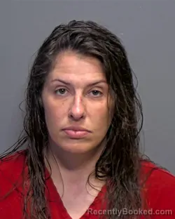 Mugshot of Erin Michelle Stevens booked in Porter County, Indiana on March 24, 2026