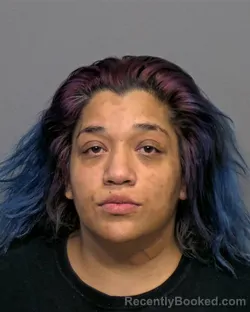 Mugshot of Meagan Elizabeth Trujillo