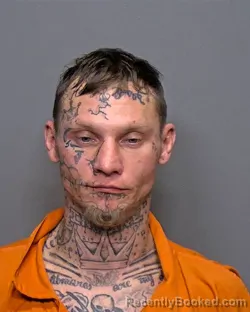 Mugshot of Timothy Lee Borman-Scaggs