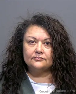 Mugshot of Ellen Genjai Higel booked in Porter County, Indiana on March 17, 2026