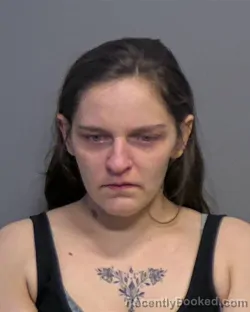 Mugshot of Deanna Lee Burgess booked in Porter County, Indiana on March 24, 2026