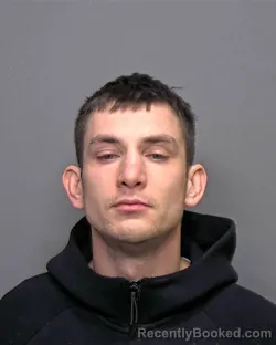 Mugshot of Drew Roger Ellian