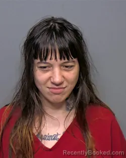 Mugshot of Lauren Marie Milby booked in Porter County, Indiana on March 6, 2026