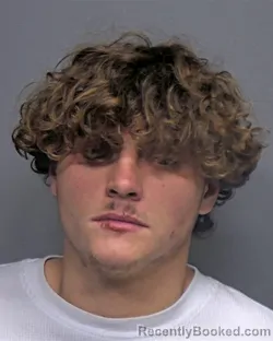 Booking photo from Porter County, Indiana