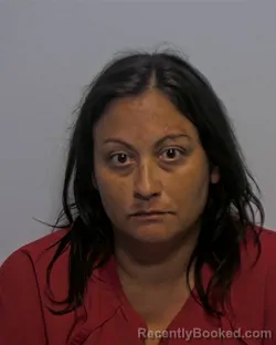 Mugshot of Selena Nicole Rivera booked in Porter County, Indiana on July 8, 2026