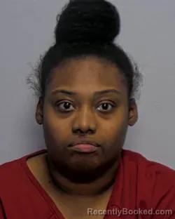Mugshot of Shakira Dominique Hunter booked in Porter County, Indiana on July 9, 2026