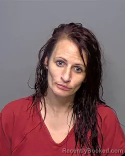 Mugshot of Shannon Joy Sciba booked in Porter County, Indiana on March 7, 2026