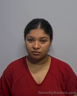 Mugshot of Alexus Tierra Johnson booked in Porter County, Indiana on May 26, 2026