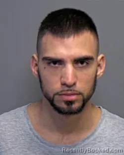 Mugshot of Kristian Nikola Vranjes booked in Porter County, Indiana on March 24, 2026