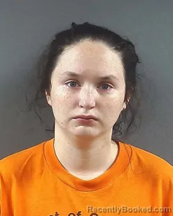 Mugshot of LANEY C CAWTHRON booked in Posey County, Indiana on June 25, 2026