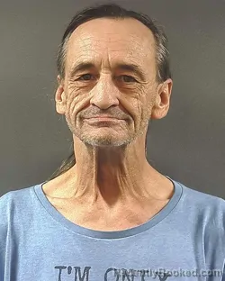 Mugshot of DAVID S THOMPSON