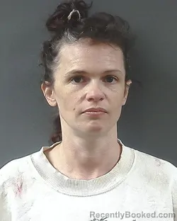 Mugshot of Kelli Michelle Purl booked in Posey County, Indiana on May 14, 2026