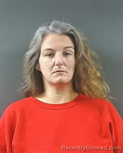 Mugshot of Kimberly Charlene Dirkes booked in Posey County, Indiana on August 27, 2026