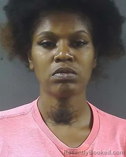 Mugshot of LAKAISHA RENEE QUARLES booked in Posey County, Indiana on May 27, 2026