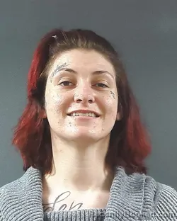 Mugshot of SIERRA SPRING WATERS