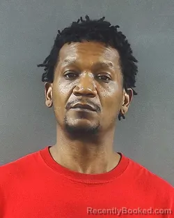 Mugshot of RONALD L CARTER