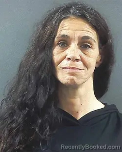 Mugshot of JAMIE T GILMORE booked in Posey County, Indiana on March 31, 2026