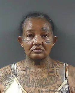 Mugshot of QUINTINA LENETTE DORSEY booked in Posey County, Indiana on July 4, 2026