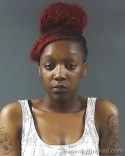 Mugshot of BRIUNA SHANISE SUMMERALL booked in Posey County, Indiana on August 2, 2026