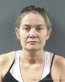 Mugshot of Stacy Diane Gasque