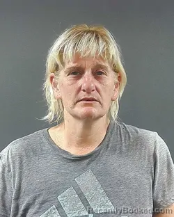 Mugshot of Jennifer R Strueh booked in Posey County, Indiana on August 19, 2026