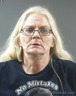 Mugshot of AMANDA KAY LITCHFIELD