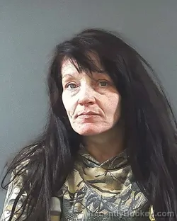 Mugshot of CRYSTAL DAWN GIVENS