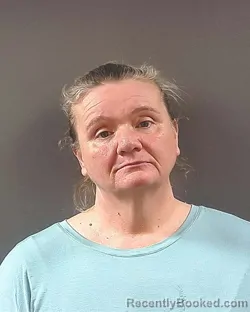 Mugshot of JENNIFER DIANE FAIN