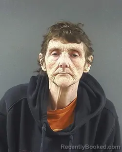 Mugshot of TINA L KEOWN booked in Posey County, Indiana on May 26, 2026