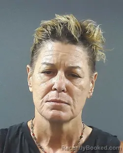 Mugshot of Kelly Ann Newlin booked in Posey County, Indiana on September 26, 2026