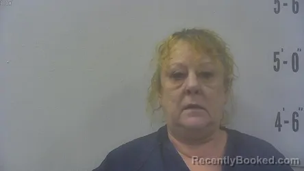 Mugshot of Annette Marie Bachman booked in Pulaski County, Indiana on September 1, 2026