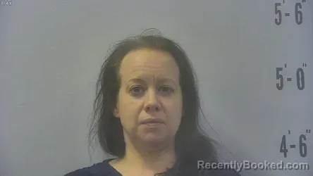 Mugshot of Amber L Dovichi booked in Pulaski County, Indiana on August 22, 2026