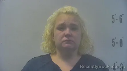 Mugshot of AMANDA MARIE HEDDEN booked in Pulaski County, Indiana on April 8, 2026