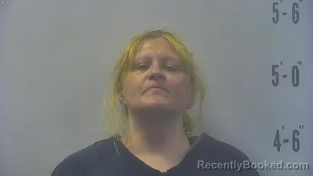 Mugshot of BERNADETTE ANNE-MARGARET DAVIS-MINIX booked in Pulaski County, Indiana on May 19, 2026