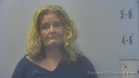 Mugshot of BRIDGET LYNN HANKS booked in Pulaski County, Indiana on July 6, 2026