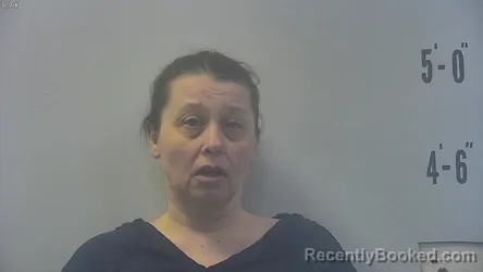 Mugshot of CHRISTINA DEVAY ORANGE booked in Pulaski County, Indiana on March 24, 2026