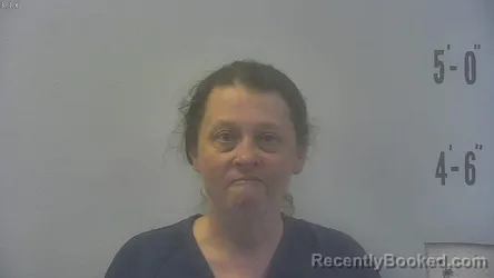 Mugshot of CHRISTINA DEVAY ORANGE booked in Pulaski County, Indiana on May 16, 2026